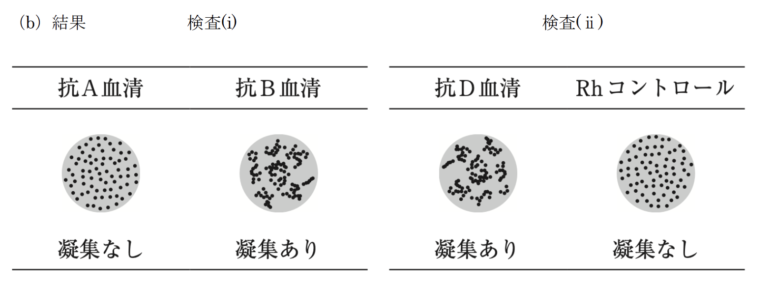 解説画像